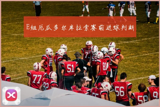 E组厄瓜多尔库拉索赛前进球判断
